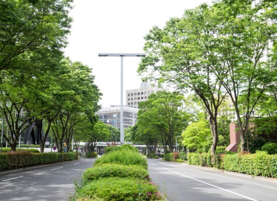 つくば・土浦・守谷どこがいい？住みやすさを比較して分かりやすく解説