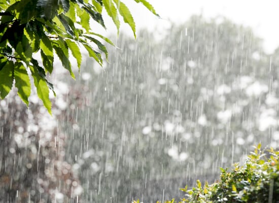 ゲリラ豪雨・大雨に備える！住まいを守るためのチェックポイント7選